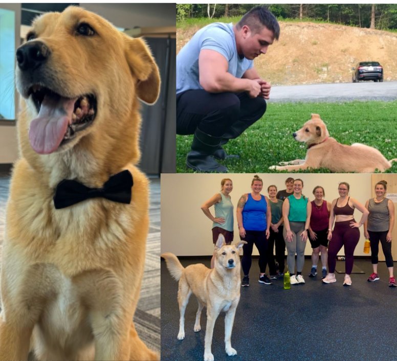 Vulcan Community Fitness family collage